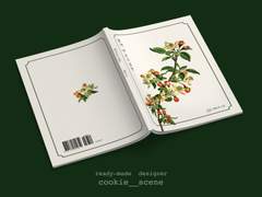 한 때 내것이었던 것