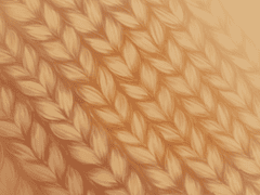 Taxe 니트 질감 브러쉬 Set