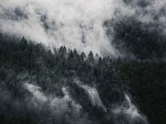 [료쿠라] It's just