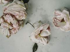 [자헌염리] 저승길