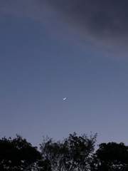 ℝ𝕖𝕤𝕥𝕒𝕣𝕥