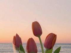 Get involved with A Young boy