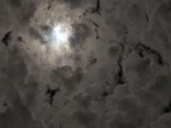 [SV] Fxxk you life B