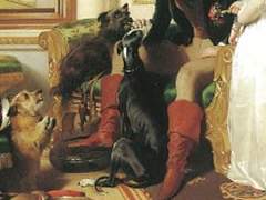 니힐이 보낸 편지들