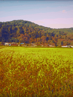 어느 시골마을의 살인사건파일