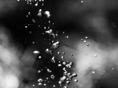 Drown in Feeling [0]