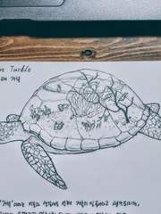 환상종 생태 보고서