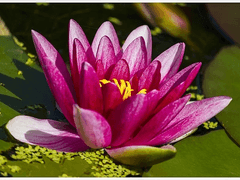 [희신강징] 이리 단 것이 사랑인데, 쓴 것조차 사랑이라 하는 구나 -7