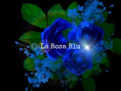 La Rosa Blu 외전