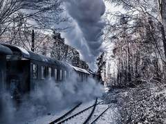 그 해 첫 눈은 두 번 다시 오지 않을 것처럼, 계절도 망각한 것 마냥 속절없이 내려 기록적인 폭설이 되었다.