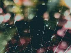 불편한 동업자.