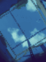 커뮤 비프 백업