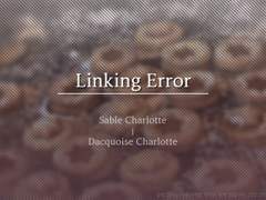 Linking Error