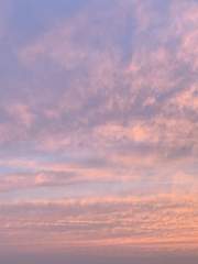 하이큐 드림;  망상/주저리 모음집