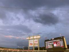 구장별 시야 정리