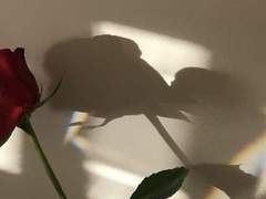 [에드유린] 백업