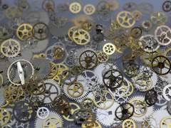 광휘를 바라보시오.