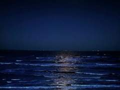 말로만 하던 거 가져오기