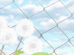 [이누카고] 반요의 프로포즈 下