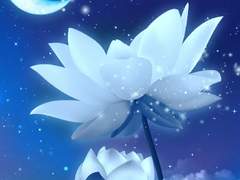 {나루토&이세계삼남매&귀멸의칼날}2화차원을통해