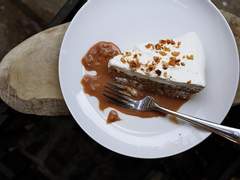 친애하는 나의 친구에게