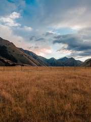 히나른 단편 시리즈