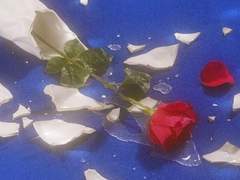 피와 악마의 사랑