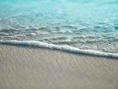 잃어버린 사랑을 찾아서