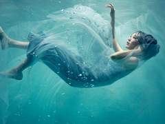 드레스 컨셉 촬영