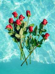 로즈 마리안 플로디아