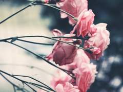 [의신른] | '제목 미정 소설.' -Prolog-