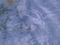 효민정구 트위터 썰 백업