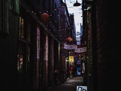 [브랜트] 말썽쟁이 뮤턴트 1