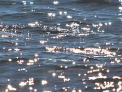 [아유슈이] 미성년