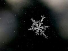 내가 지켰어야 했는데 (겨울신화 각X덕)