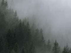 3장까지의 감독생에 대하여 날조망상 감상문