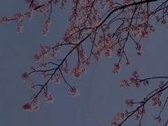 [진영보미] 봄 (단편)