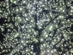 몰래 약을 바꿔주세요