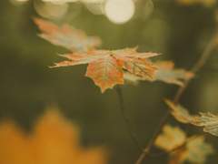 벌써부터 기분이 좋아요.