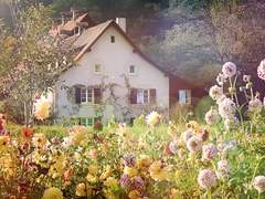 그 곳에 네가 있어서