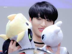 박성화 모에화라이팅