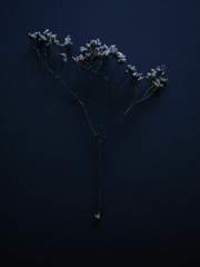 로보토미 코퍼레이션