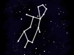 미나모토 킨고, 처녀자리