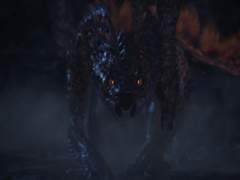 몬헌 월드+아이스본 . 021