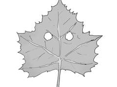 [희신x강징x온조] 나뭇잎 가면