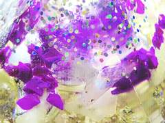 '트리오브라이프' 스프레드 시험가동