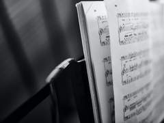 𝑨𝑳𝑳𝑬𝑮𝑹𝑶