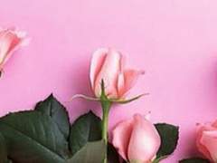 유시루리 첫만남