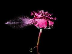 구도자 : 진리와 종교에 걸친 깨달음