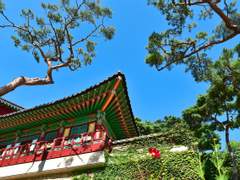 [신검]예습이 착실한 연하 애인을 두는 일이란(전연가)